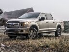 Thumbnail Photo 28 for 2019 Ford F150